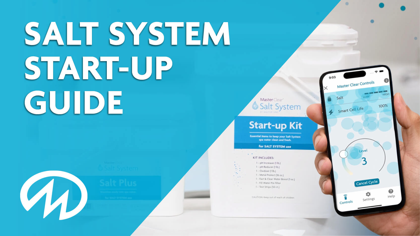 Salt system start up guide